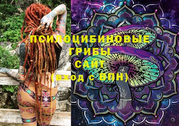 крисы Кодинск