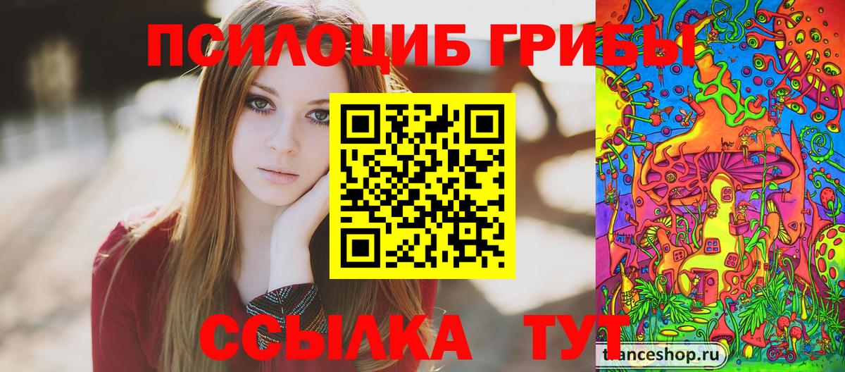 Галлюциногенные грибы прущие грибы Саяногорск