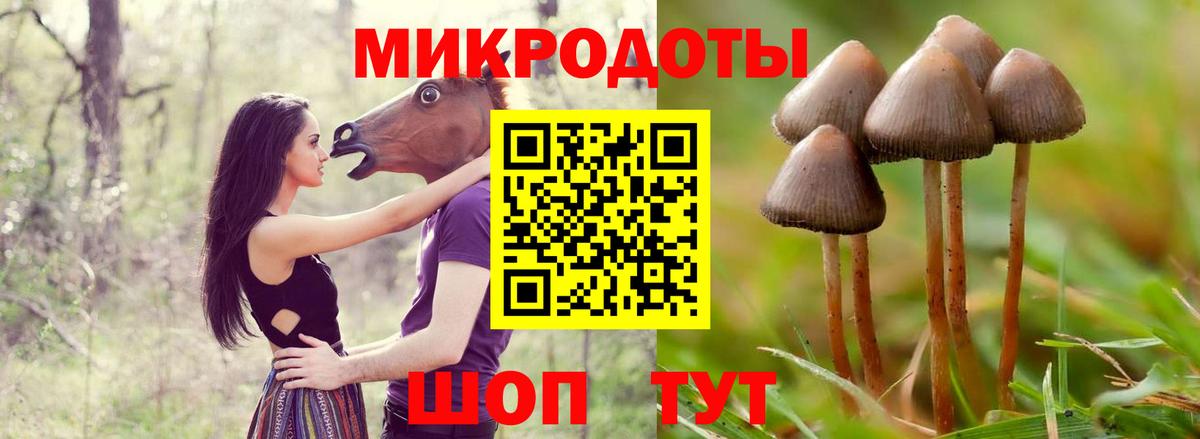 Псилоцибиновые грибы Psilocybe  Вход с VPN  Саяногорск 